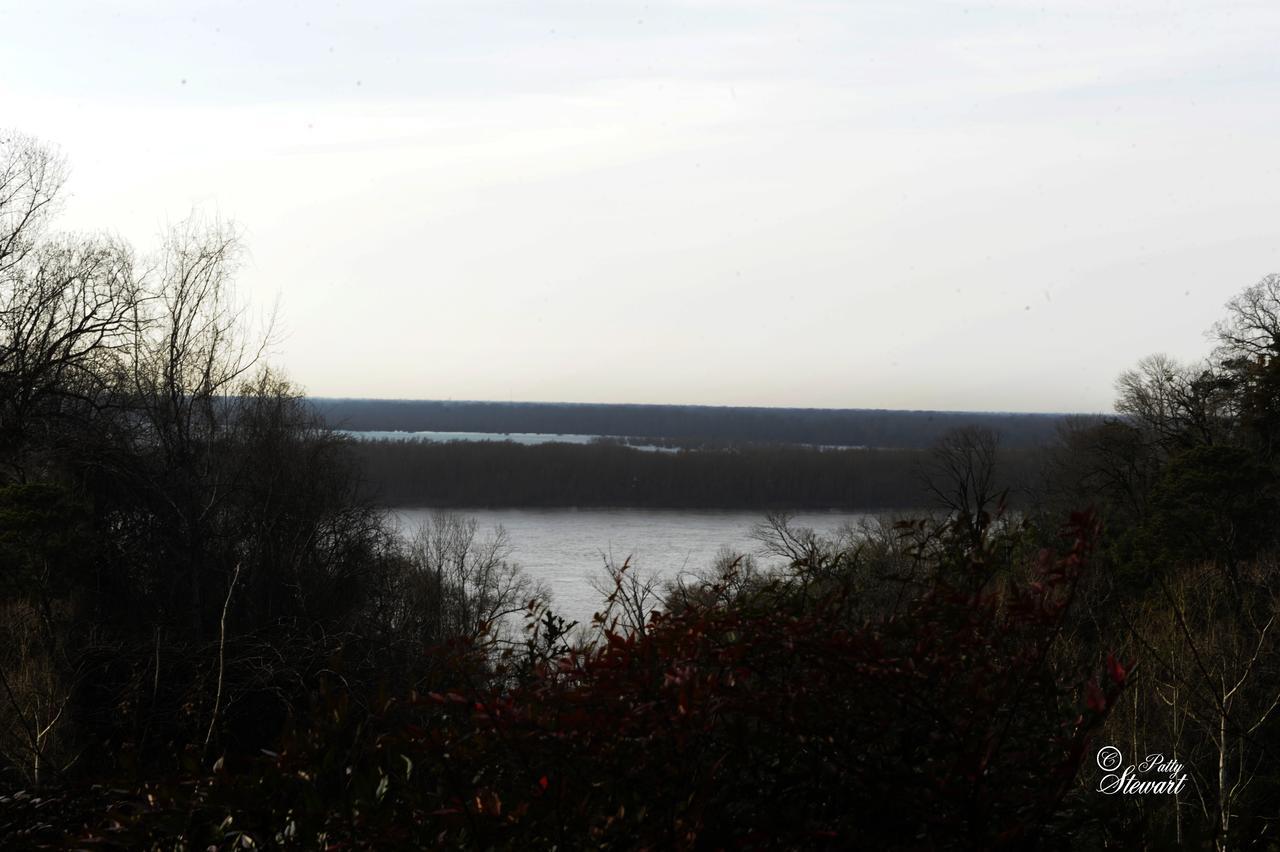 Clermont Bluffs Bed & Breakfast ナチェズ エクステリア 写真