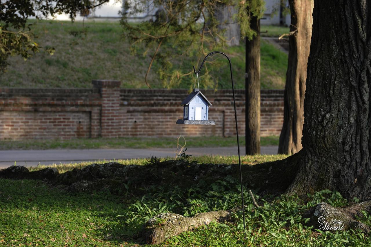 Clermont Bluffs Bed & Breakfast ナチェズ エクステリア 写真