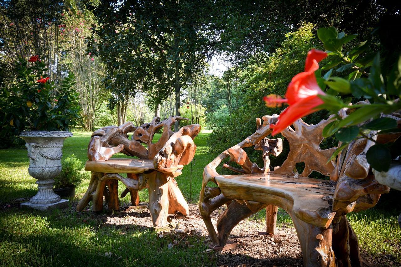Clermont Bluffs Bed & Breakfast ナチェズ エクステリア 写真