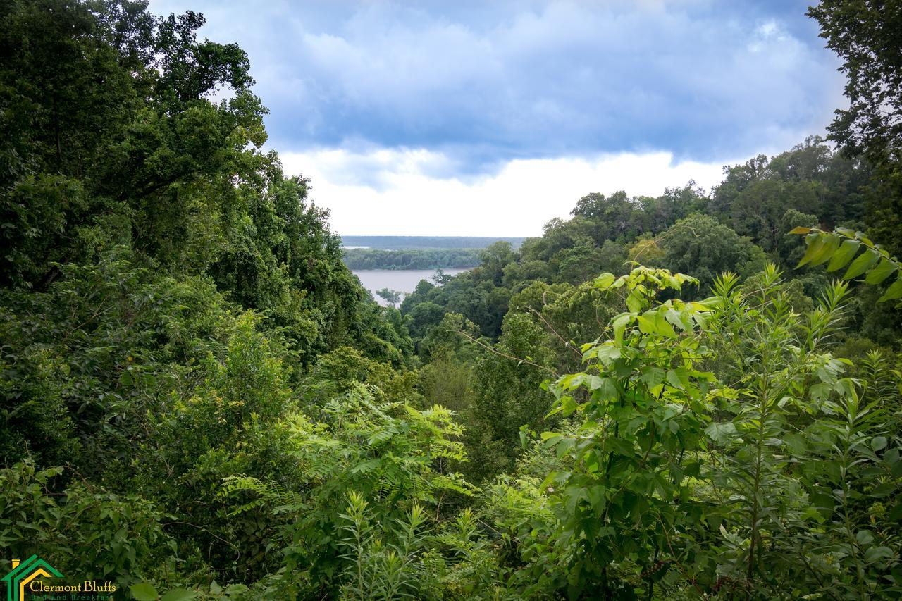 Clermont Bluffs Bed & Breakfast ナチェズ エクステリア 写真